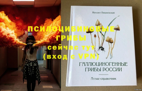 ПСИЛОЦИБИНОВЫЕ ГРИБЫ Верхнеуральск
