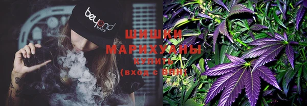 мдпв Верея