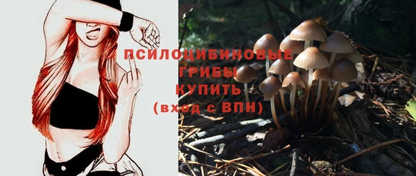 ПСИЛОЦИБИНОВЫЕ ГРИБЫ Верхнеуральск
